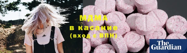 индика Бородино