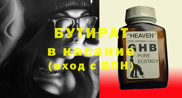 индика Бородино