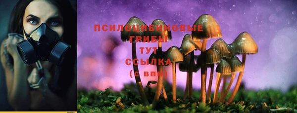 мдпв Семёнов