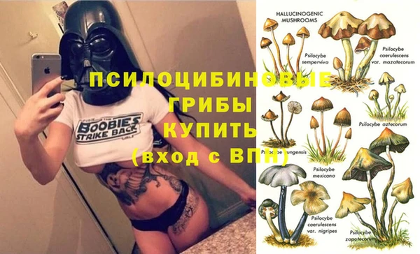 трава Бугульма
