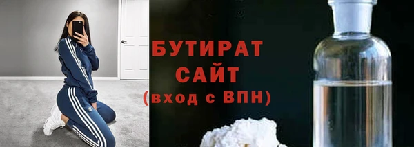 индика Бородино