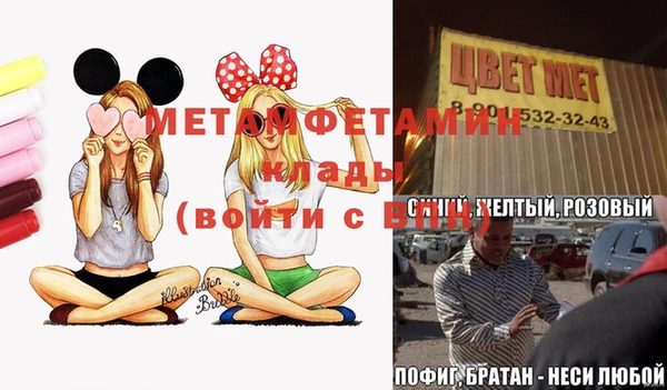 индика Бородино
