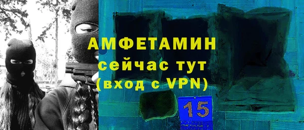 индика Бородино