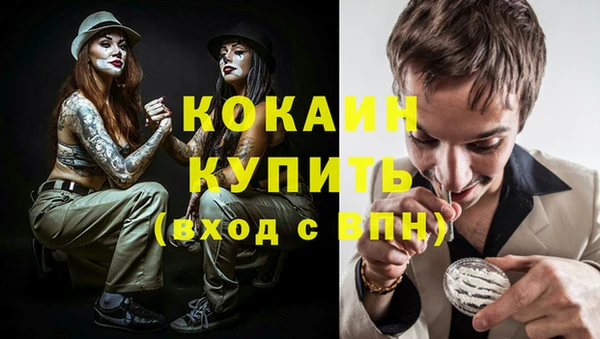 индика Бородино