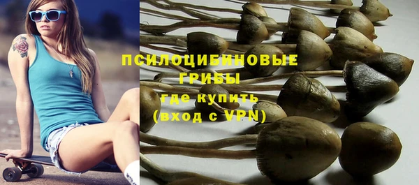 индика Бородино