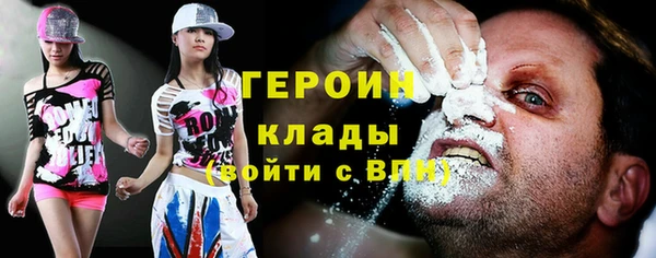 индика Бородино
