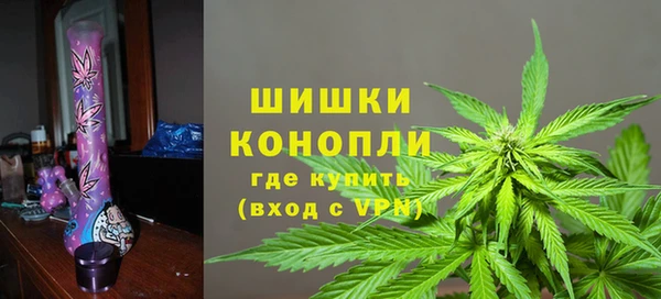индика Бородино
