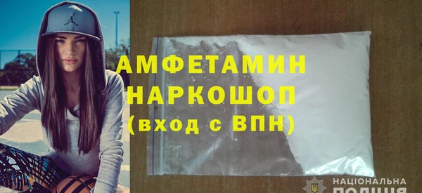 индика Бородино